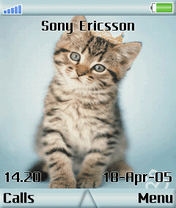 cover1